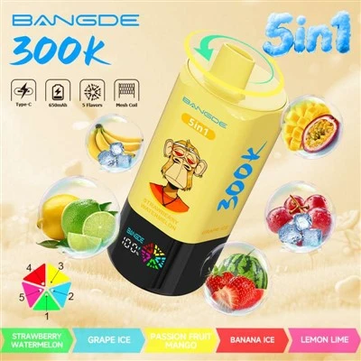 BANG DE 5in1 300000