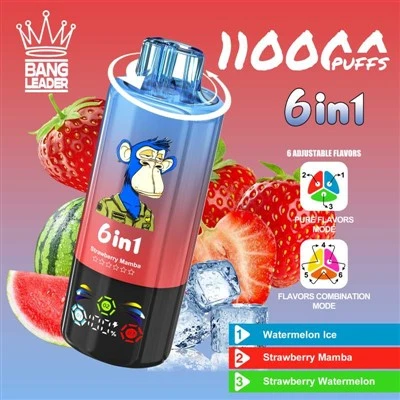 Bang leiðtogi 110k puffs