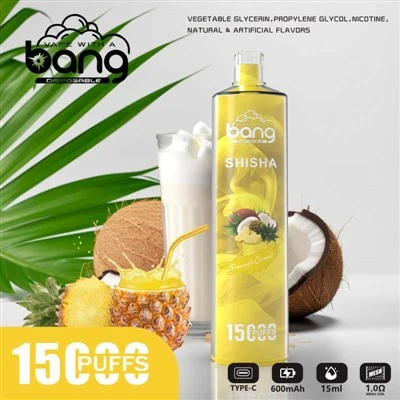 Bang SHISHA 15K Puffs Vape