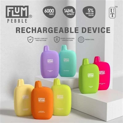 FLUM Pebble 6000 Puffs