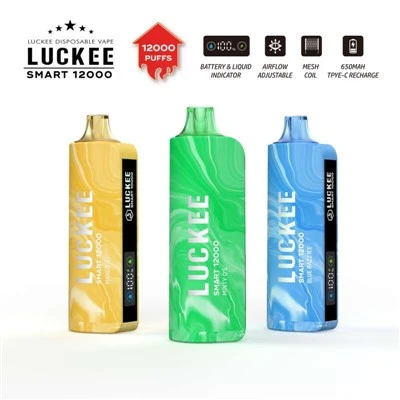 LUCKEE SMART 12000